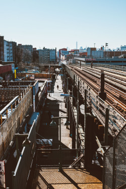 followtutes:  Voice The Bronx Project Photography by Jose Tutiven Tumblr / Instagram / Twitter / VSCO / Flickr