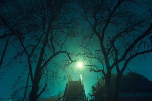nevver: Darkness on the Edge of Town, Elsa Bleda