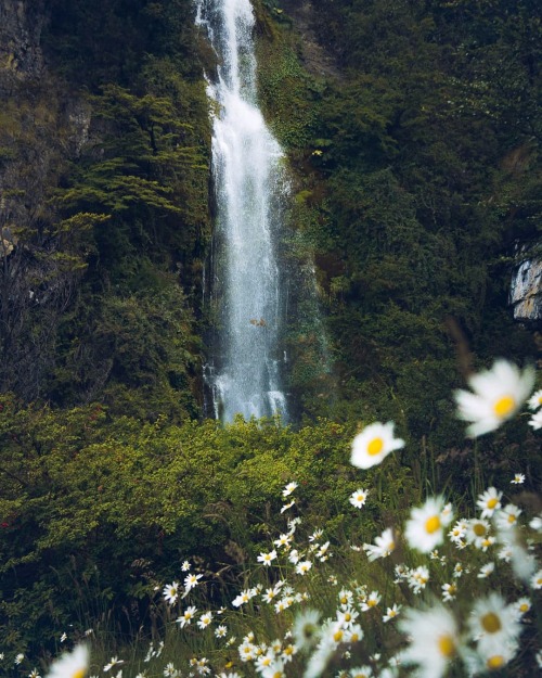 turnnoffyourmind: Waterfall ❣ National Park Patagonia, Aysén, Chile.