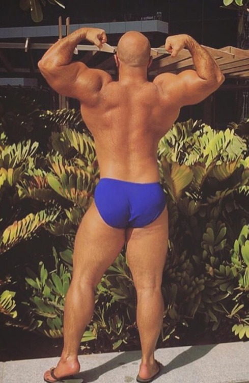 briefsRugbyspeedos