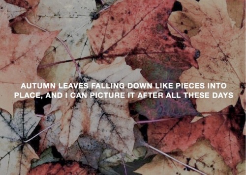 engdame - TS Lyric Parallels - ”autumn”