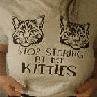 Stop staring at my kitties[GIF]