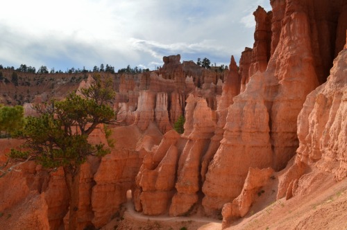 Bryce Canyon National Park is > OTHERWORDLY•»( 1. Of, relating to, or characteristic of another w