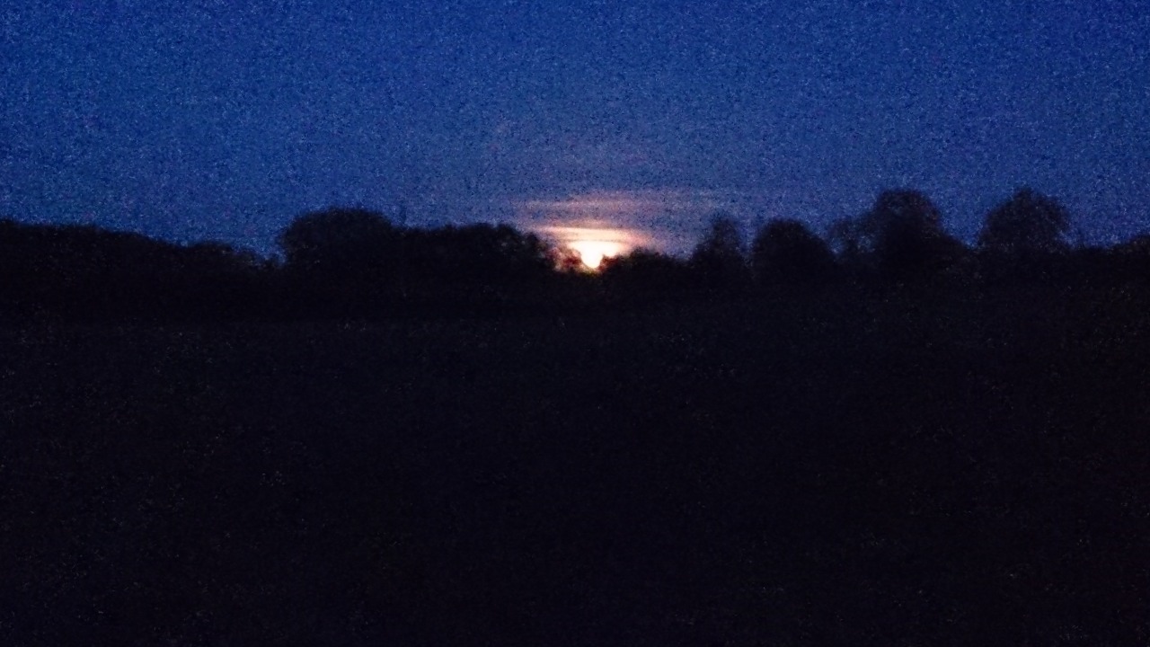 This was the moon in Hampshire on Thursday morning. The quality is poor and you can&rsquo;t