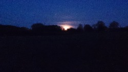 This was the moon in Hampshire on Thursday