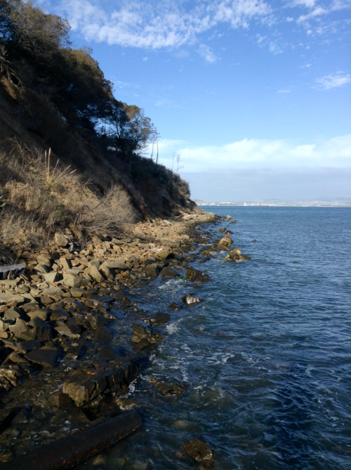 Angel Island ⛅️