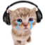 disorganisedcat