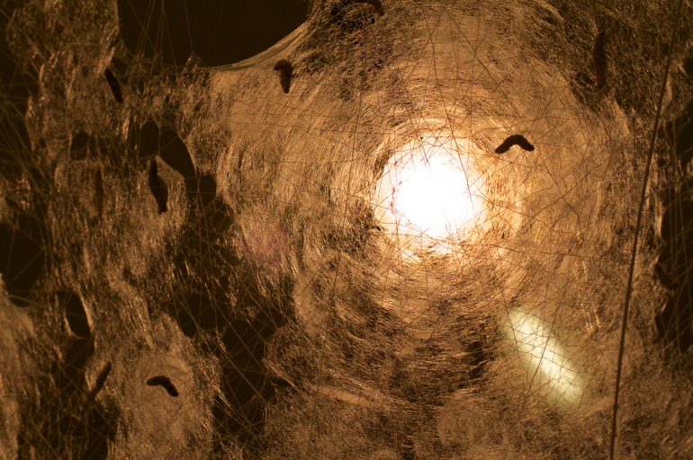 house-of-gnar:  Silk Pavillion The Silk Pavilion explores the relationship between