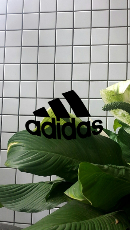adidaslike or reblog if u use or save please