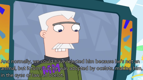 candace-gertrude-flynn: Heinz Doofenshmirtz is legally an ocelot.