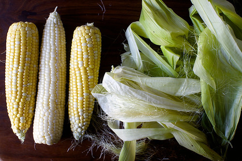 XXX foodffs:  corn, cheddar and scallion strata photo
