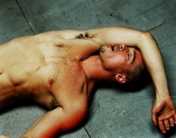 wjs59:  Brad Pitt by Steven Klein   CT