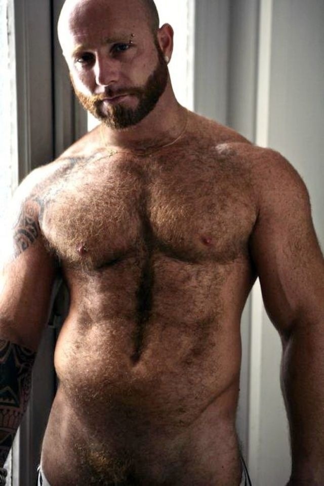 bumsballsandbears:  redneck417:  SEXY DAD   Hairy beast of a man. Heaven.