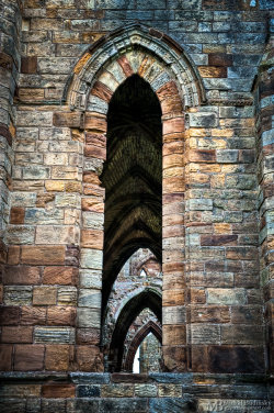 gatsbywise:  alivetotellthetail:  Ruins of Whitby Abbey, North Yorkshire, England, UK, by Michal Budinsky.  Gatsbywise