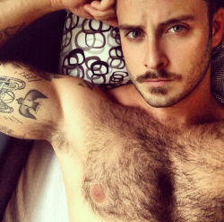 hairygingerman:  lovely hairy chest