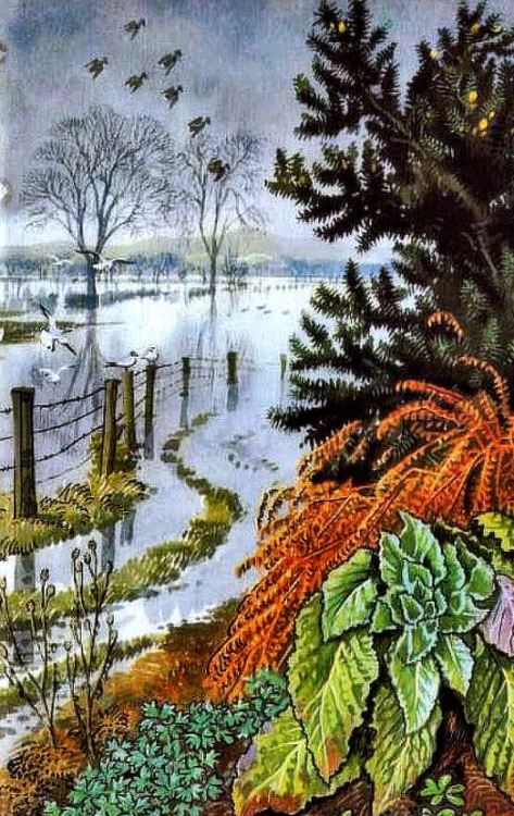 “What to look for in winter” - Ladybird series. 1960s.