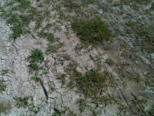 Porn qock:  parched soil in the netherlands  photos