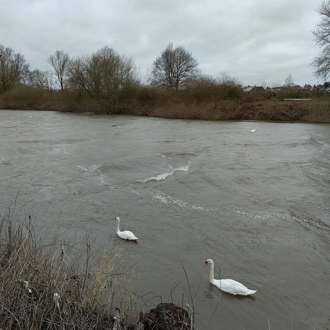 Windy river #riversevern #riverscene #walking #wonderful #worcester #worcestershire (at Worcester, Worcestershire)
https://www.instagram.com/p/CLg2xzcj8z6/?igshid=1gaq8oqzcyo08