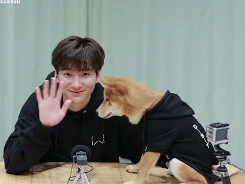 guksuu: aron and noah!