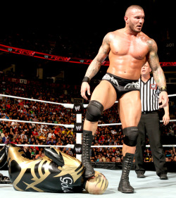 fishbulbsuplex:  Randy Orton vs. Goldust  Would love to be Godust here! Would be a dream come true to step in the ring with Randy Orton!