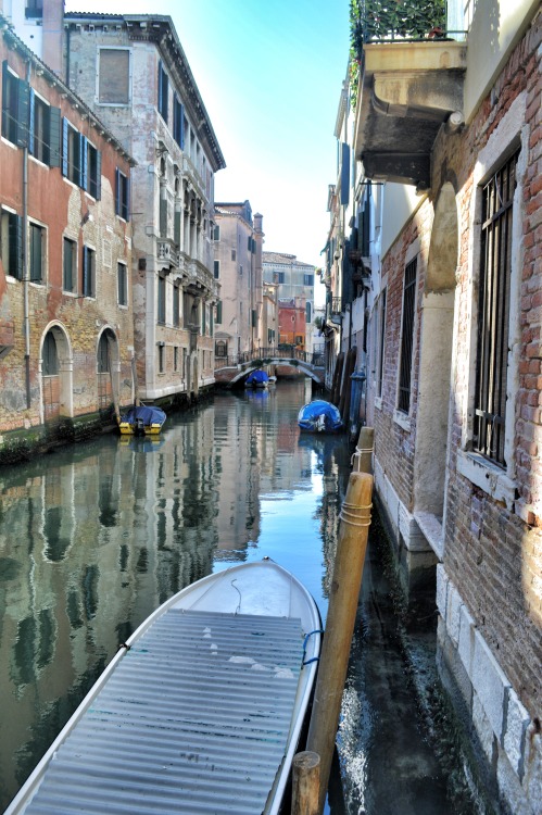 Venice - Italy (by annajewelsphotography) Instagram: annajewels