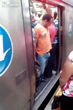 breakfastsexual:  onlylolgifs:  Man gets a hard-on at the worst possible moment  What a time to be alive 