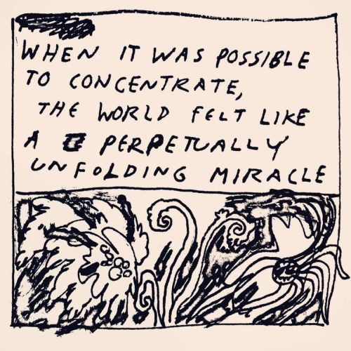 389:When it was Possible to Concentrate, The World Felt like A Perpetually Unfolding Miracle