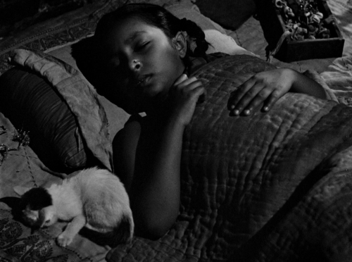 365filmsbyauroranocte:“Don’t be anxious. Whatever God ordains is for the best.”  Pather Panchali (Satyajit Ray, 1955)  