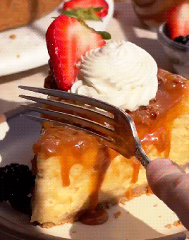 Crème Brûlée Cheesecake (x)