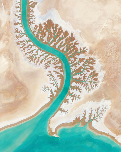 dailyoverview: Dendritic drainage systems are seen around the Shadegan Lagoon by Musa Bay in Iran. T