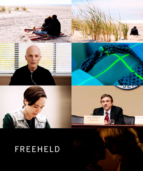 kristnstews: Films Watched in 2016 88.  Freeheld (Peter Sollett, 2015)