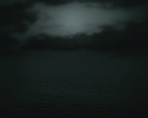 pleoros:  Sonja Braas - The Passage / Week 01-26, 2009-2011