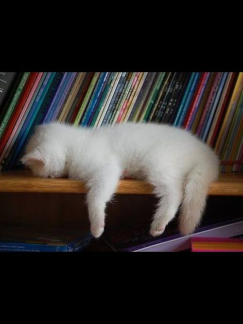 Me currently.
