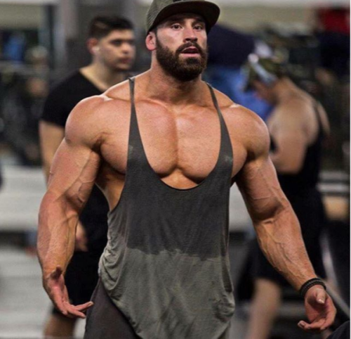 dafyddbach:    Bradley Martyn for 5300 followers.  For more muscle hunkery follow @dafyddbach
