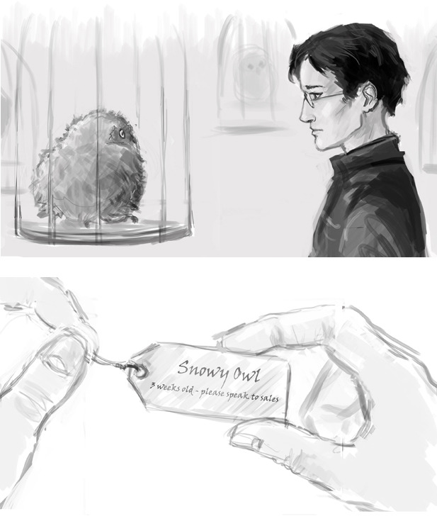 emmahay:  Owl Shop. (Or, when Harry found Hegwig’s successor - before it could