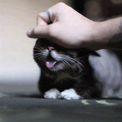 five more minutes
