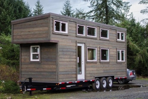The Albatross By Rewild Homes