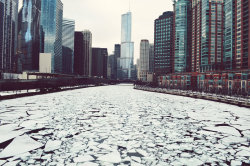 ddesignsmultimedia:  Frozen Chicago River 