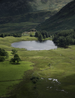 mrsbananabrain: Blea Tarn