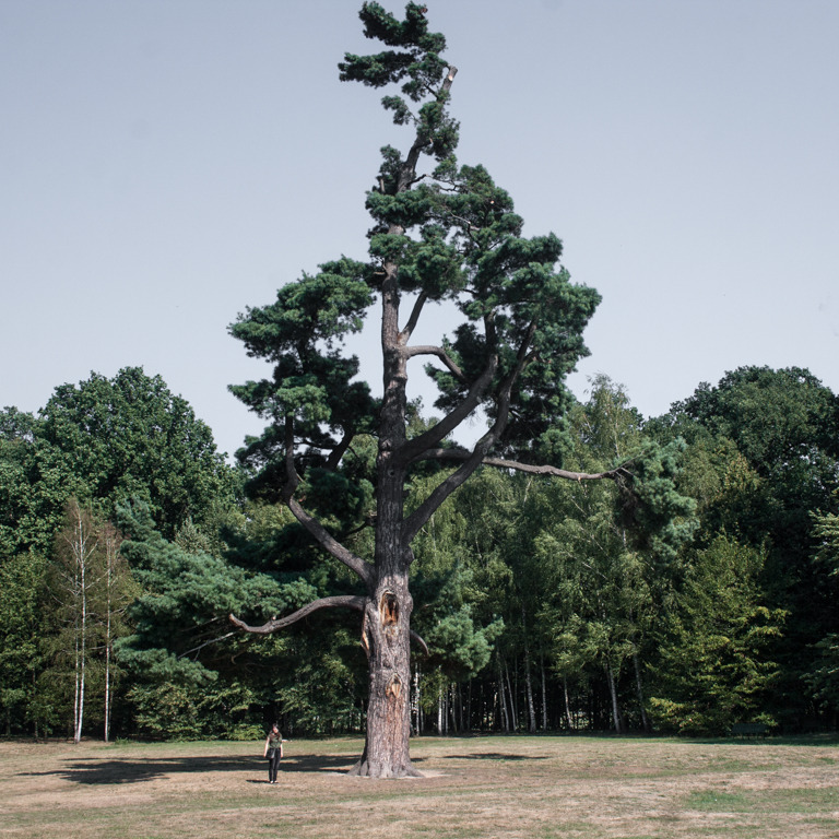 pictures taken today in Moszna, the most picteresque (and surprisingly small considering
