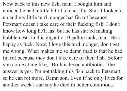 mustardprecum:  talknerdytome33:  I love the tone of voice this was written in  People caring about all animals and calling out abuse that few others care about like this   