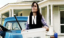 droqo:The Walking Dead Alphabet:↳  D for Death
