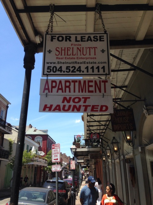 helioscentrifuge:  repede:  chrisisgross:  You have two options when you’re looking for an apartment in the French Quarter  I’ll take haunted, I don’t care, I’ll punch a ghost. I’ll punch ten ghosts. I’ll punch fifty ghosts. I’ll punch every