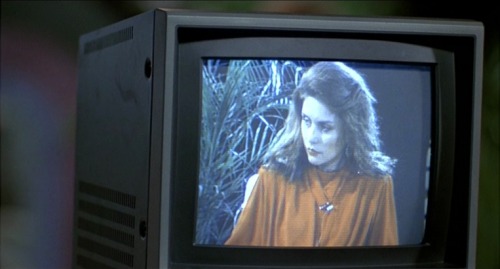 “There is nothing real outside our perception of reality, is there?”Videodrome (1983)