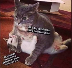 soy-u-n-a-loquilla: