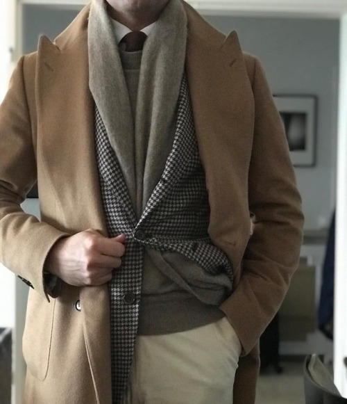 This coat was a great surprise - extraordinary value for money for a DB camel coat. Can you guess th