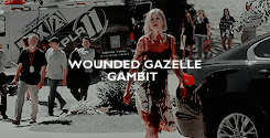 amyduhnne-deactivated20160325: amy elliott dunne + character tropes 