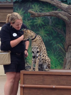 Currently at the San Diego Zoo! So many animals&hellip;!