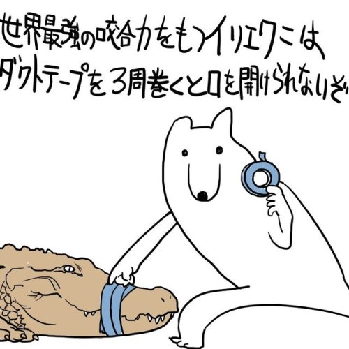 futureisfailed:  (1533306262559.jpg (JPEG 画像, 800x800 px) - 表示倍率 (76%)から) 