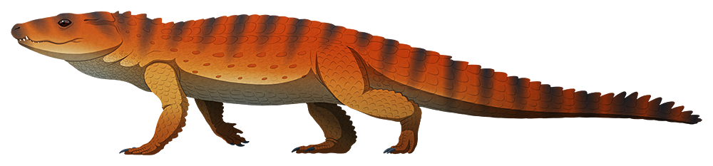 Island Weirdness #39 — Mekosuchus inexpectatusAlong with their weird giant birds, the islands of New Caledonia were also home to a small crocodilian unlike any alive today.
It was one of the last known members of a lineage of crocodiles known as the...